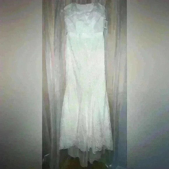 David's Bridal Dresses & Skirts - David’s Bridal Galina Wedding Dress